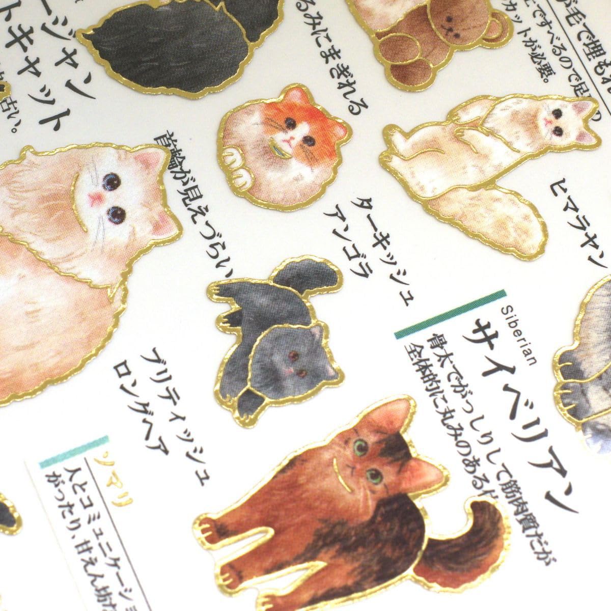 Amazon | カミオジャパン シール 大人の図鑑シール 猫長毛種 221268